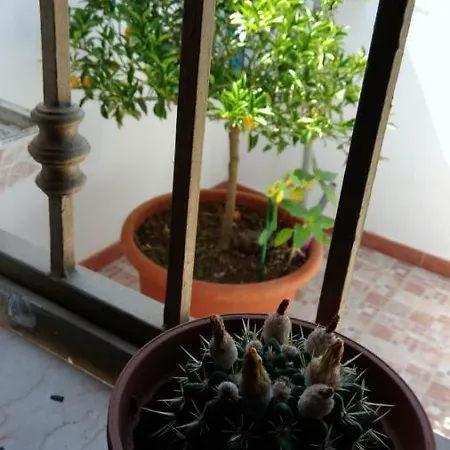 Il Girasole 게스트하우스