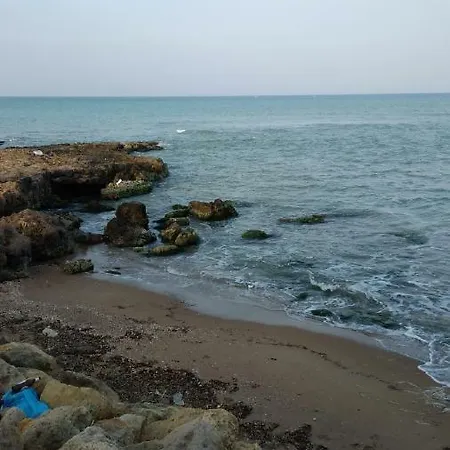 Il Girasole * 스코글리티